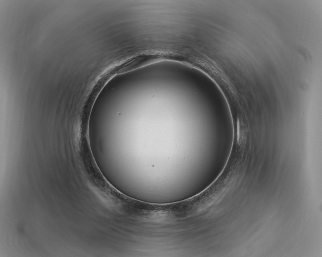 X0000113530204200909181142