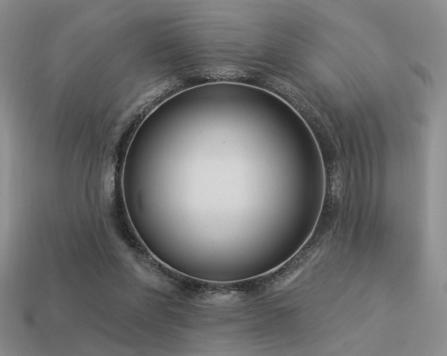 X0000113530206200909181142