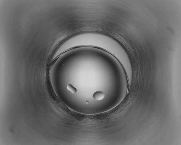 X0000113530207200909181142