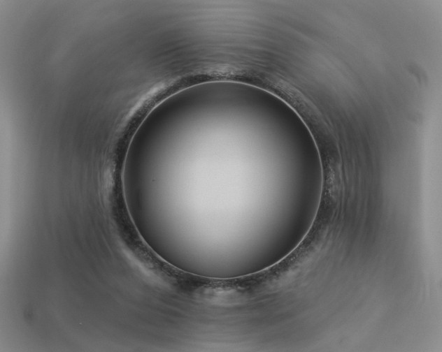 X0000113530208200909181142