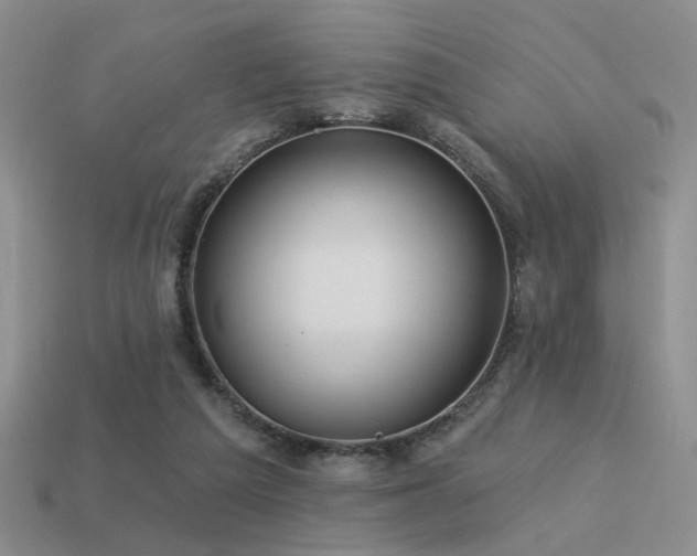 X0000113530209200909181142