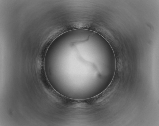 X0000113530210200909181142