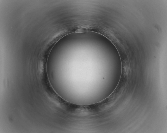X0000113530211200909181142