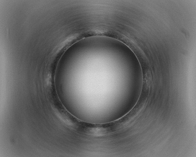 X0000113530212200909181142