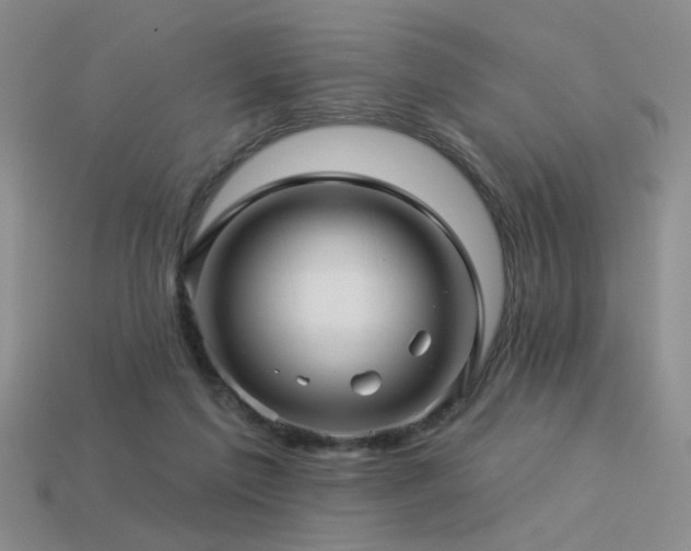 X0000113530213200909181142