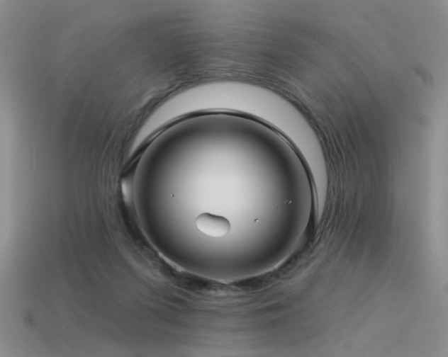 X0000113530215200909181142