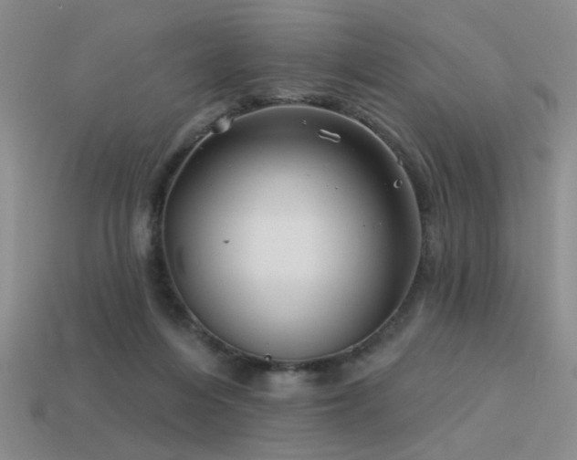 X0000113530216200909181142
