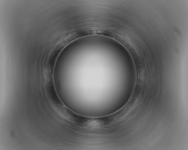 X0000113530218200909181142