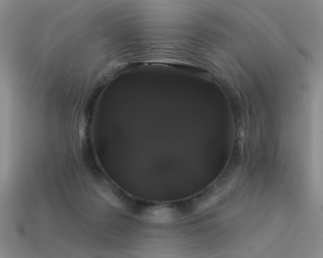 X0000113530219200909181142
