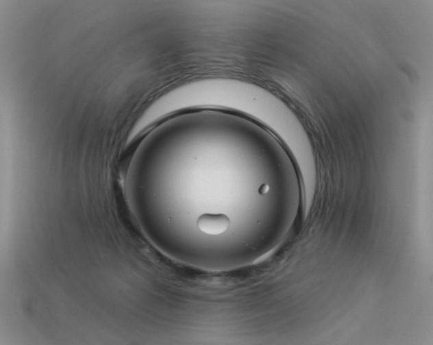 X0000113530221200909181142