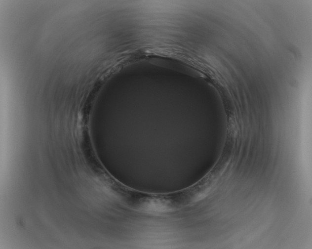 X0000113530223200909181142