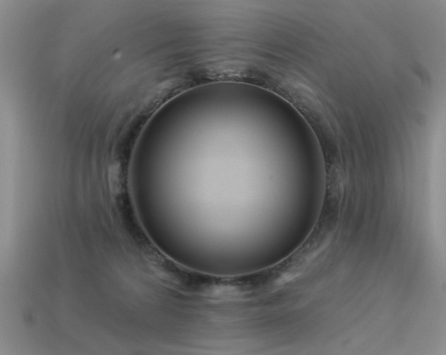 X0000113530224200909181142