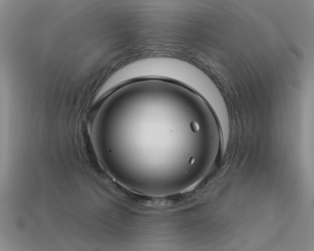 X0000113530225200909181142