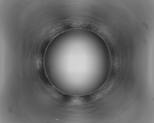 X0000113530226200909181142
