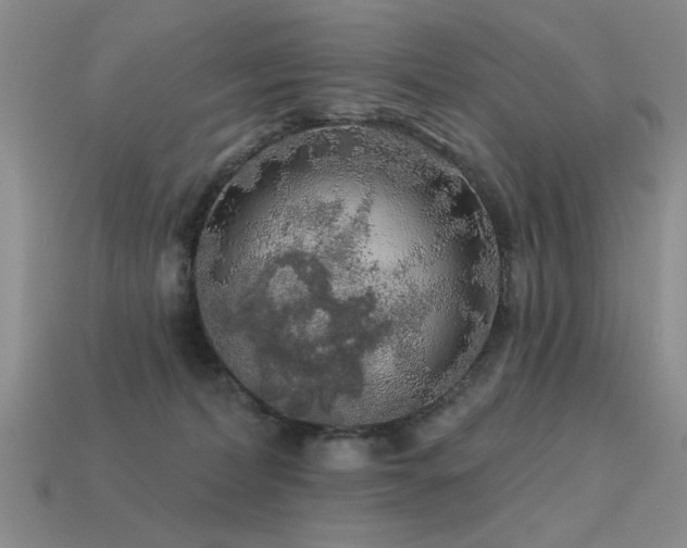 X0000113530228200909181142