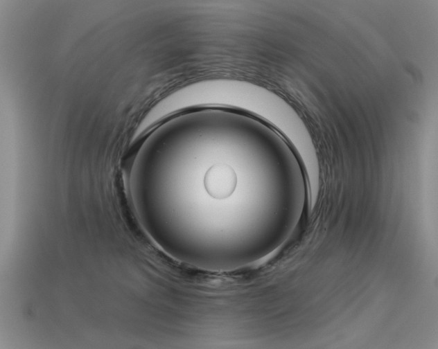 X0000113530229200909181142