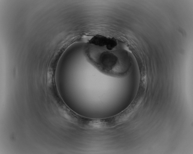 X0000113530231200909181142
