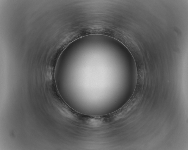 X0000113530232200909181142
