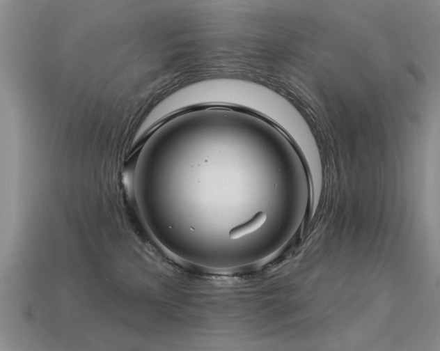 X0000113530233200909181142