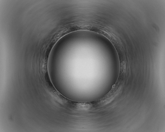 X0000113530234200909181141