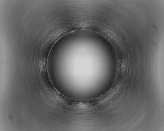 X0000113530236200909181141