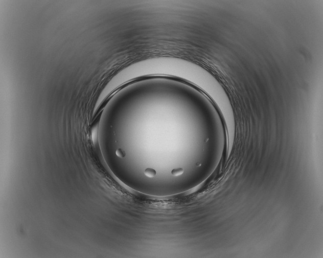 X0000113530237200909181141