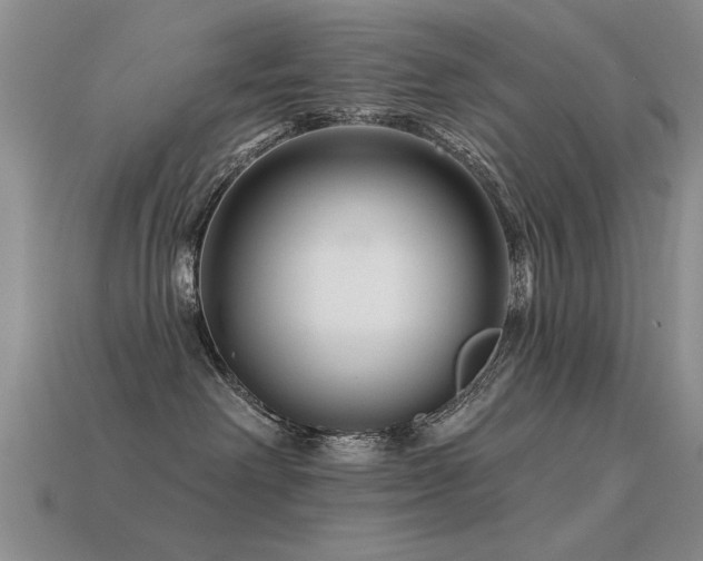 X0000113530238200909181141