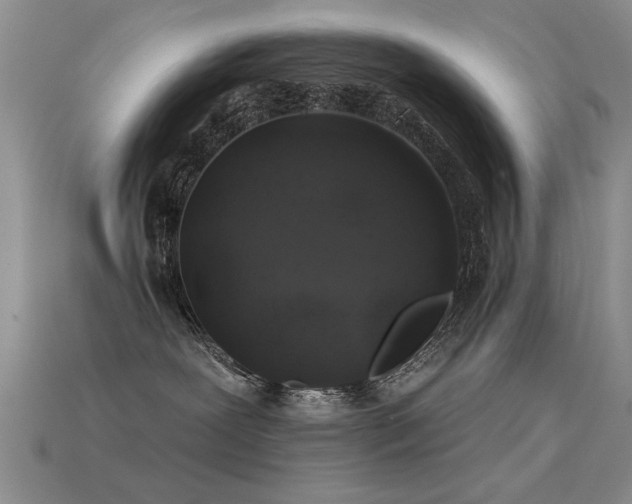 X0000113530239200909181141