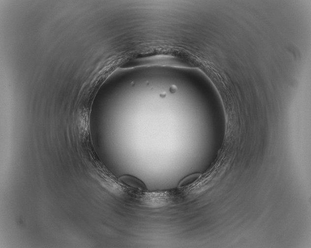 X0000113530240200909181141