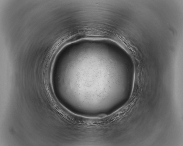 X0000113530241200909181141