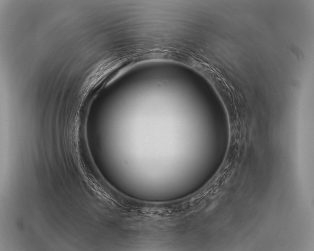 X0000113530242200909181141