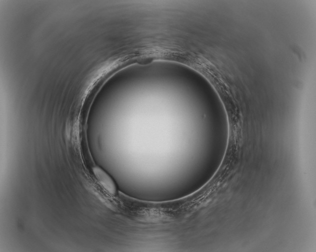X0000113530244200909181141
