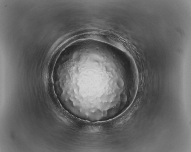 X0000113530247200909181141