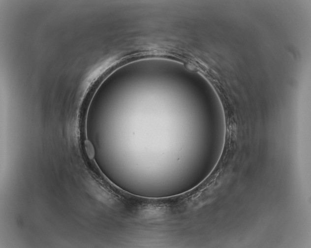 X0000113530248200909181141
