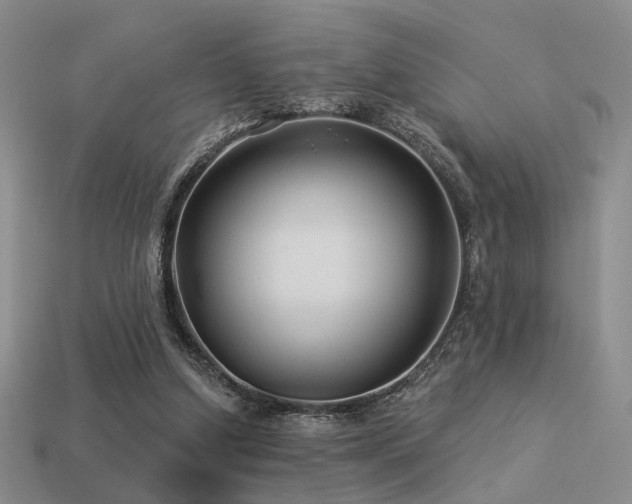 X0000113530250200909181141