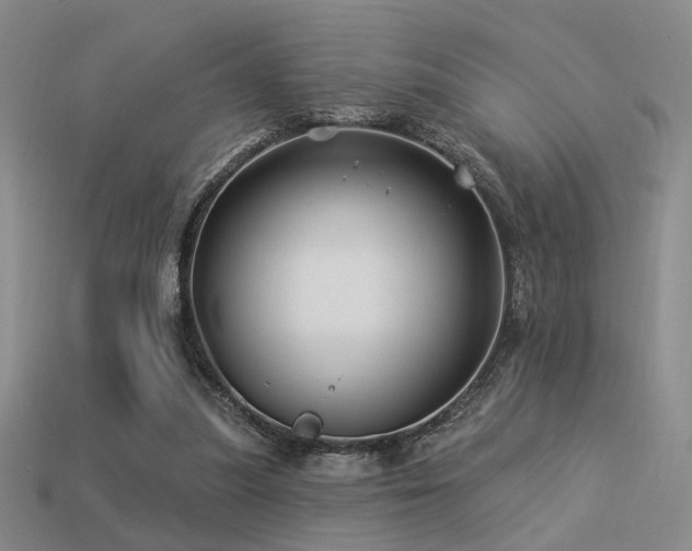 X0000113530251200909181141