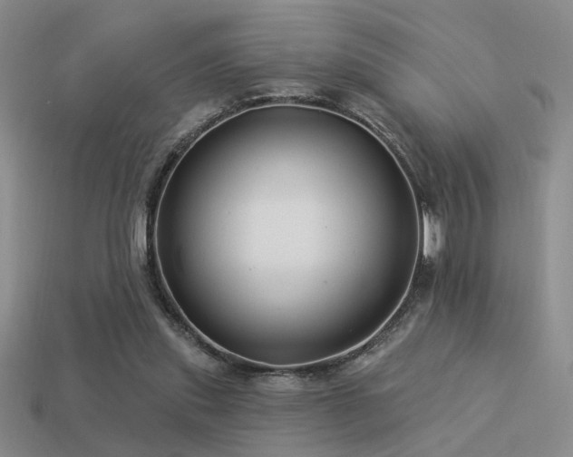 X0000113530253200909181141