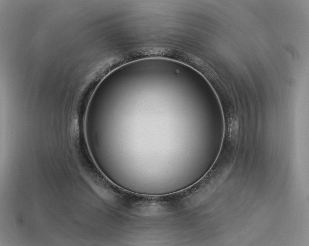 X0000113530254200909181141