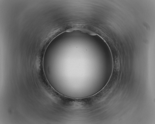 X0000113530255200909181141