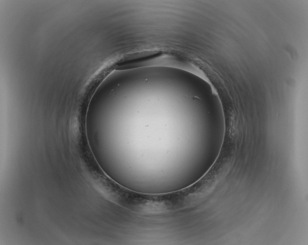 X0000113530256200909181141