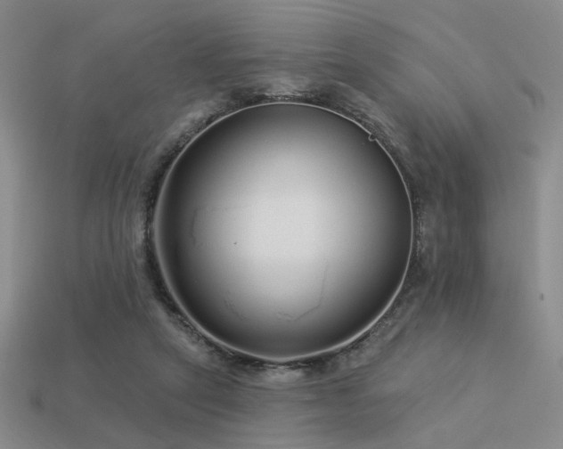 X0000113530257200909181141