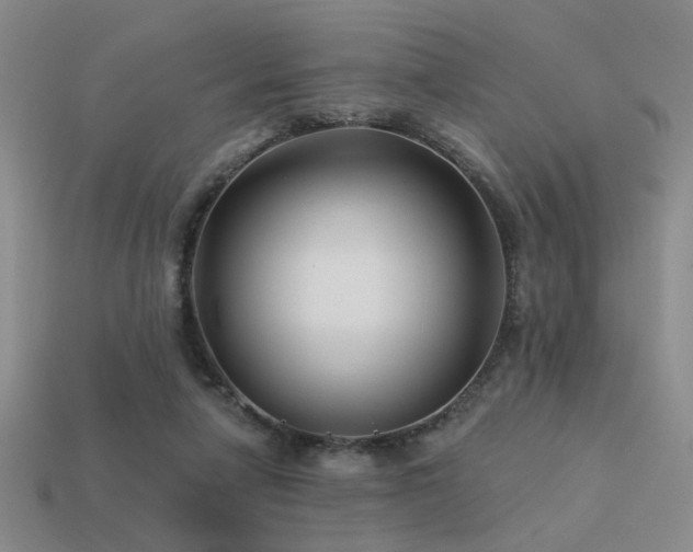 X0000113530258200909181141