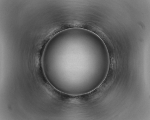 X0000113530259200909181141