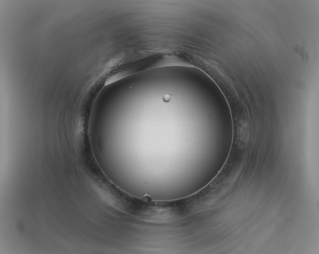 X0000113530260200909181141