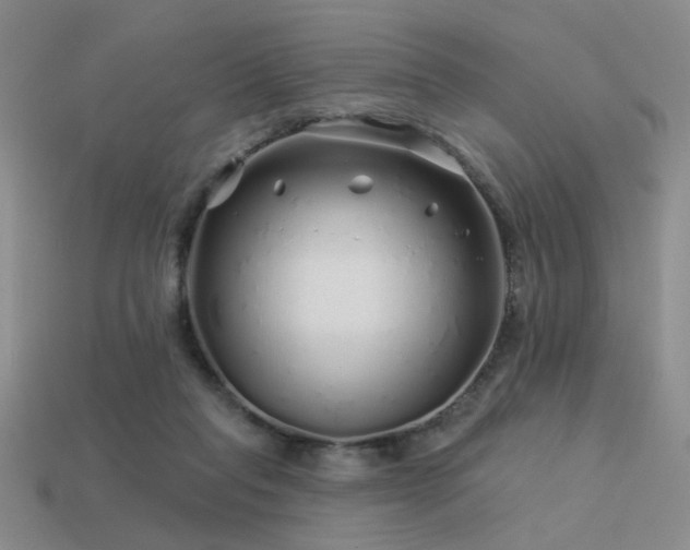 X0000113530261200909181141