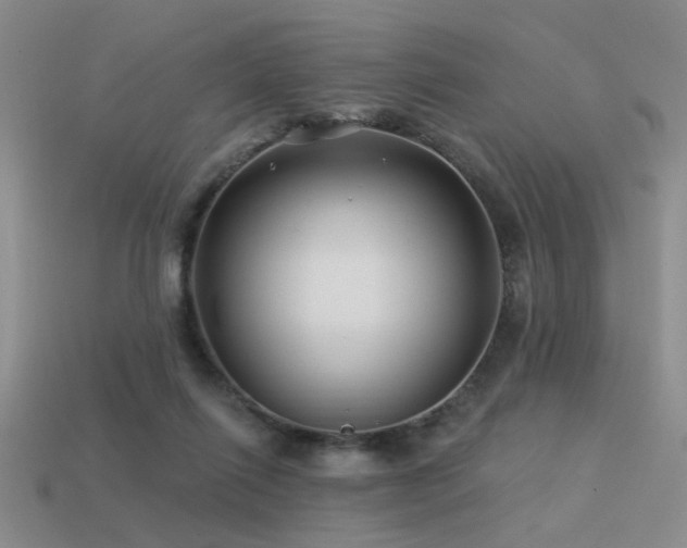 X0000113530262200909181141