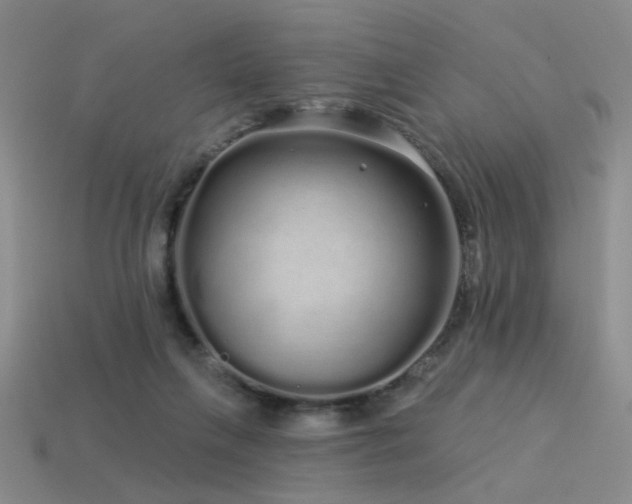X0000113530263200909181141