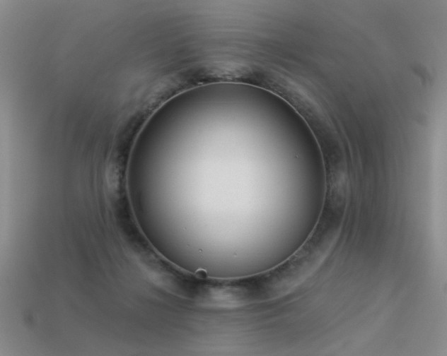 X0000113530268200909181141