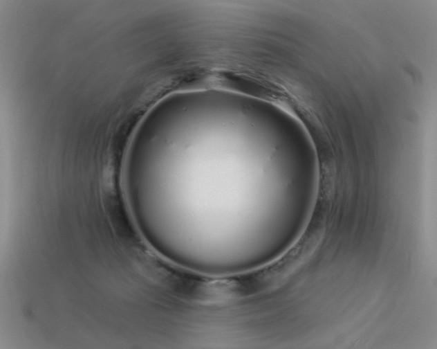 X0000113530269200909181141