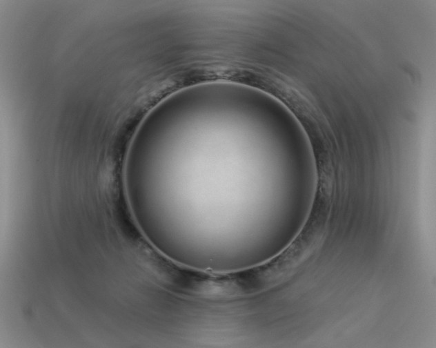 X0000113530270200909181141